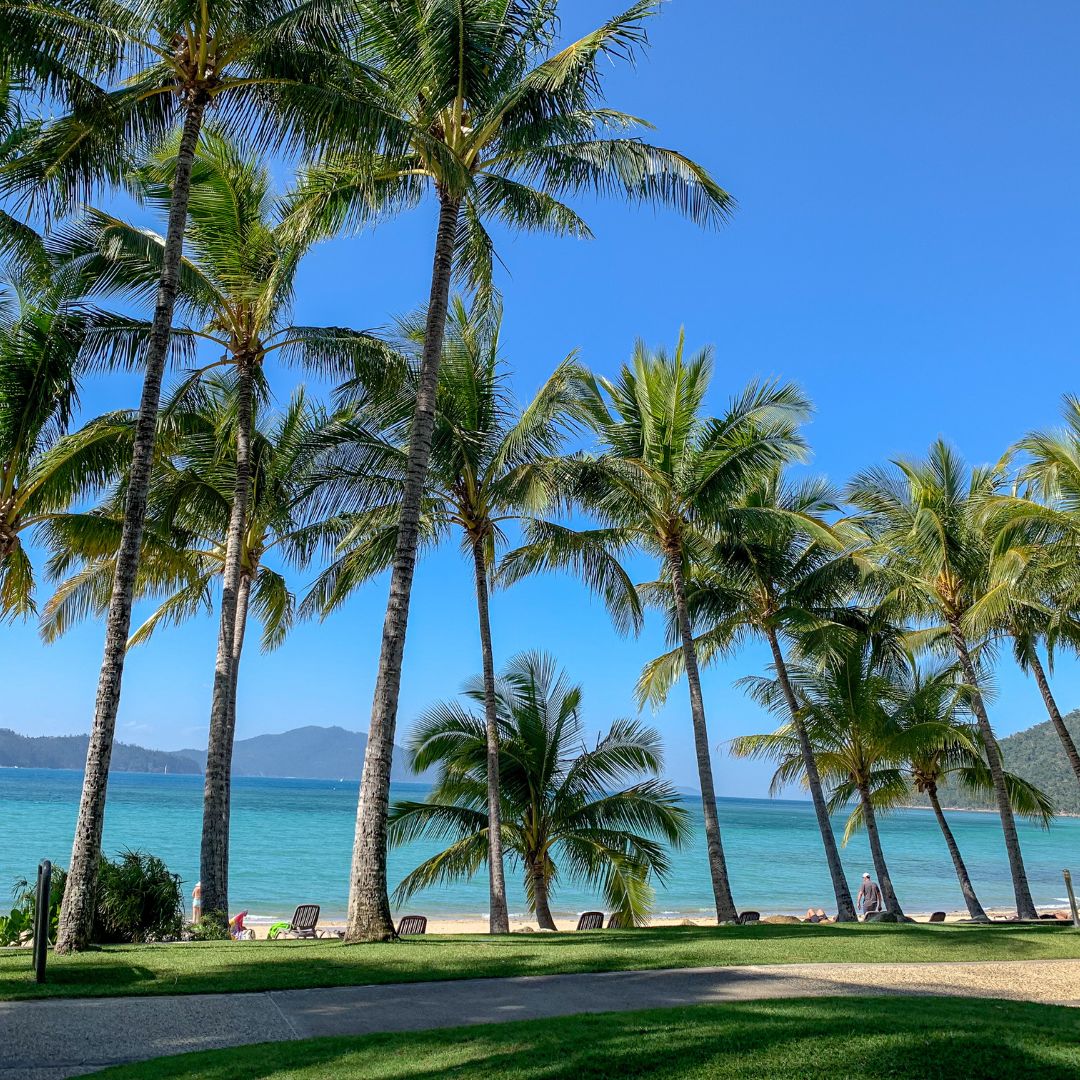 hamilton island whitsundays
