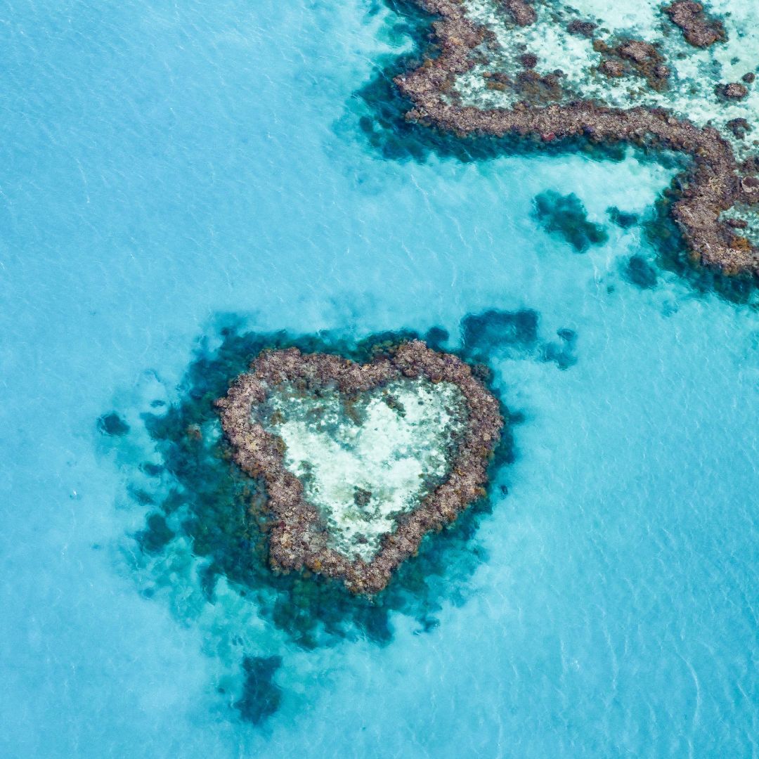 heart reef great barrier reef
