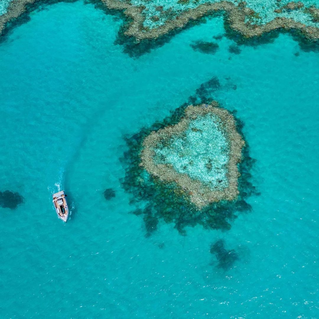 whitsundays heart reef