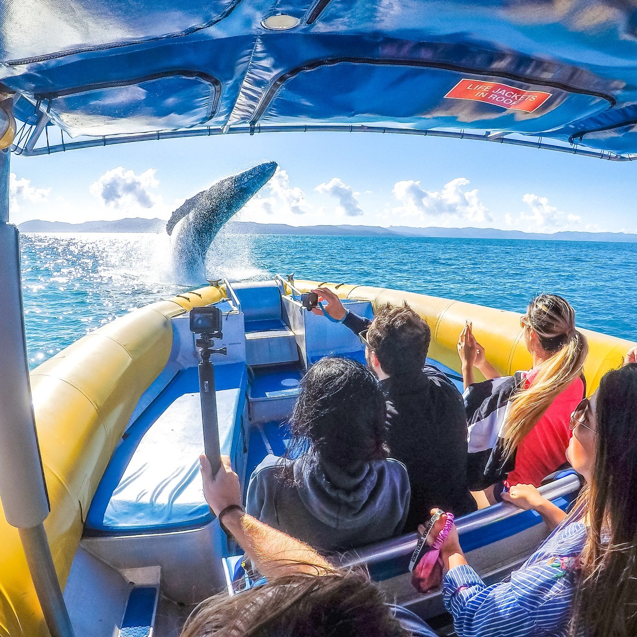 ocean rafting whitsundays