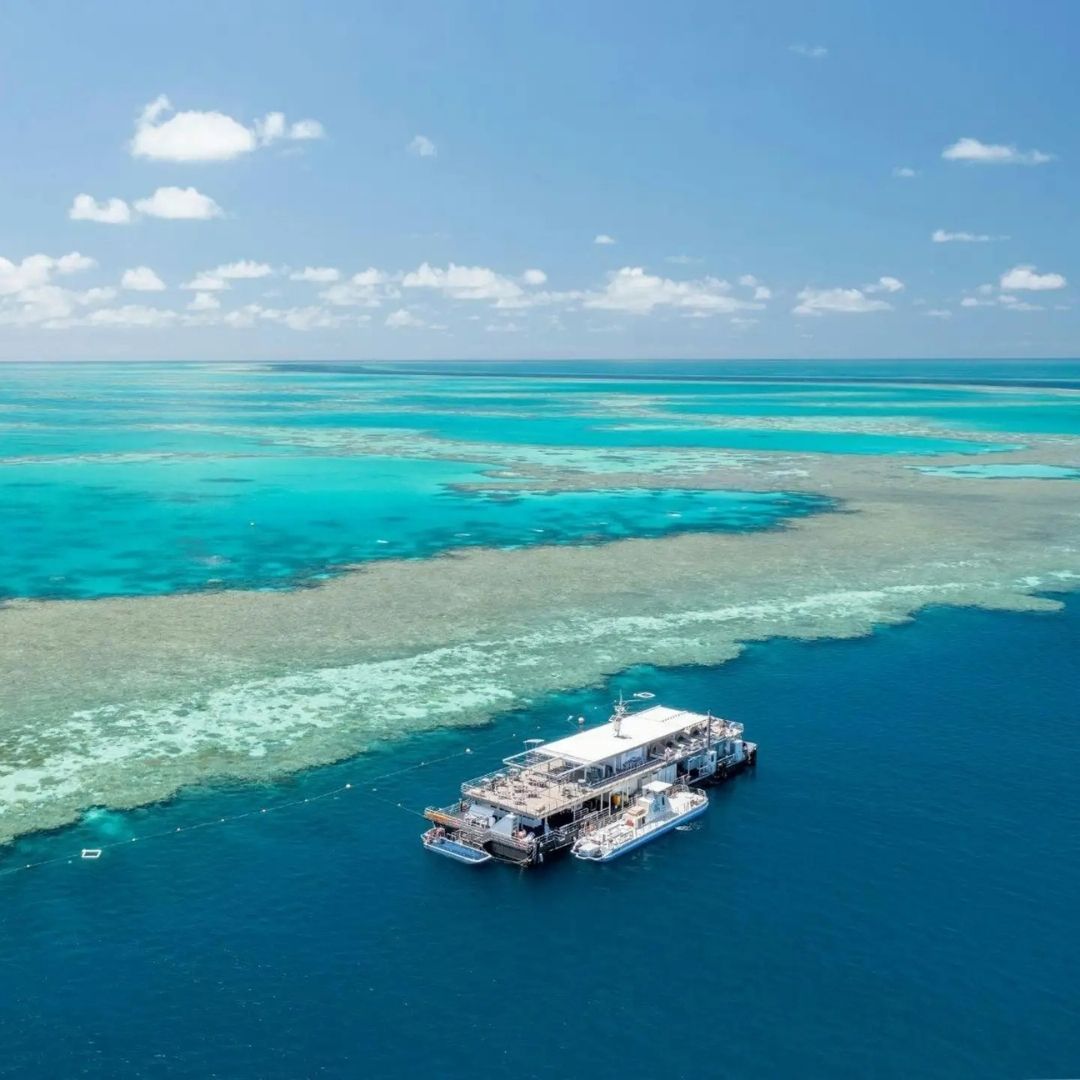 reefworld whitsundays