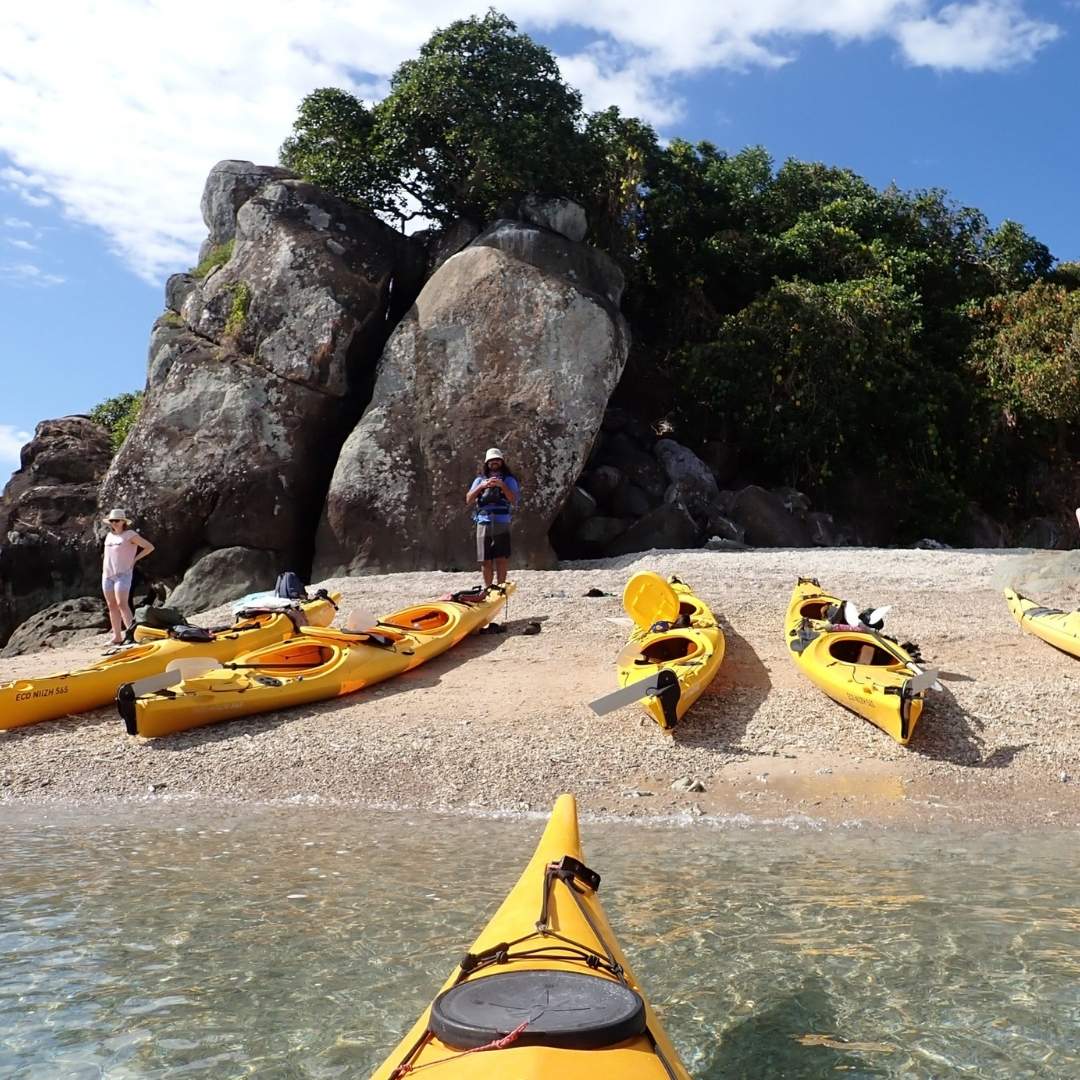 Salty dog seak kayaking whitsundays